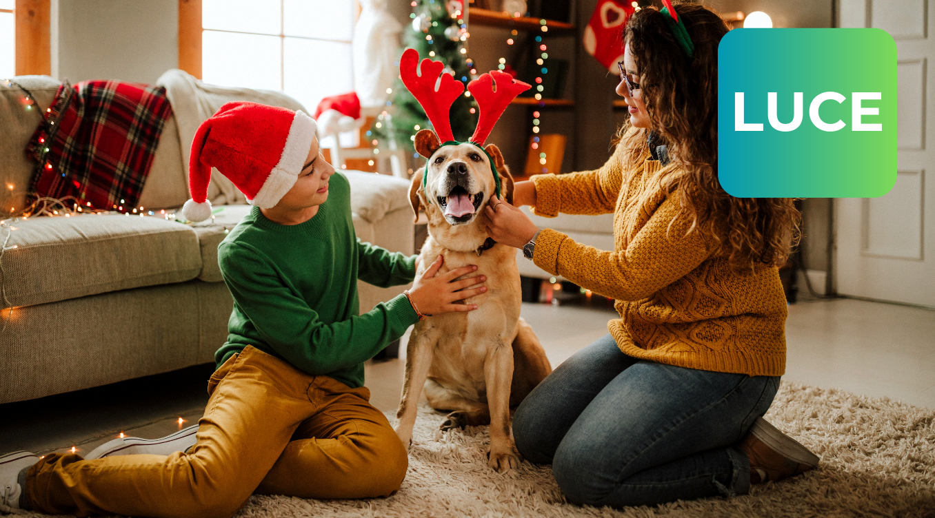 immagini offerte homeoage (11)